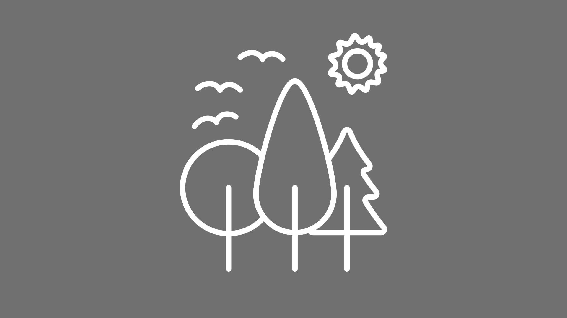 Selezione dei Materiali